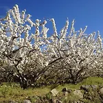 Séjour à la campagne El Regajo Valle Del Jerte