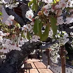 El Regajo Valle Del Jerte בית כפרי אל טורנו