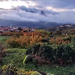 El Regajo Valle Del Jerte * エル・トルノ