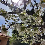 El Regajo Valle Del Jerte El Torno (Extremadura)