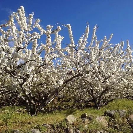 בית כפרי El Regajo Valle Del Jerte