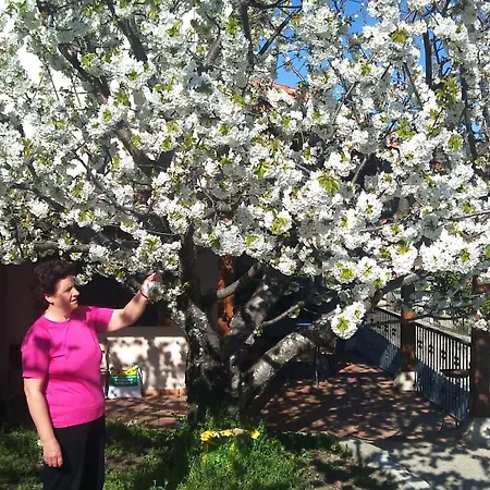 El Regajo Valle Del Jerte * El Torno (Extremadura)