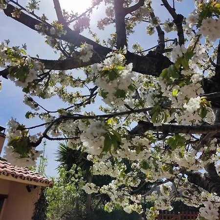 El Regajo Valle Del Jerte אל טורנו