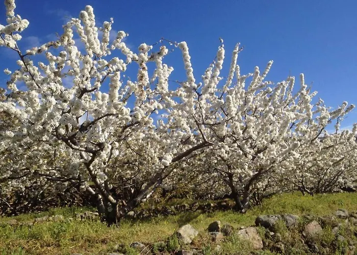 Landhuis El Regajo Valle Del Jerte
