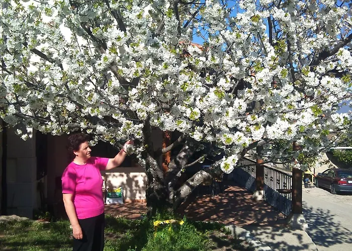 El Regajo Valle Del Jerte * Эль-Торно