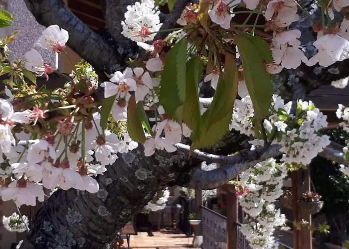 El Regajo Valle Del Jerte Country house El Torno (Extremadura)