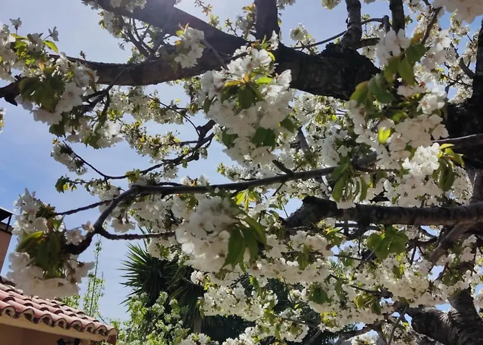 El Regajo Valle Del Jerte El Torno (Extremadura)