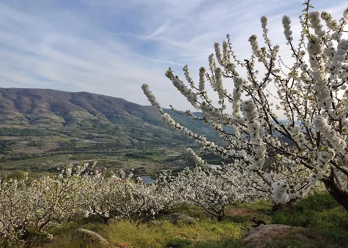 El Regajo Valle Del Jerte *